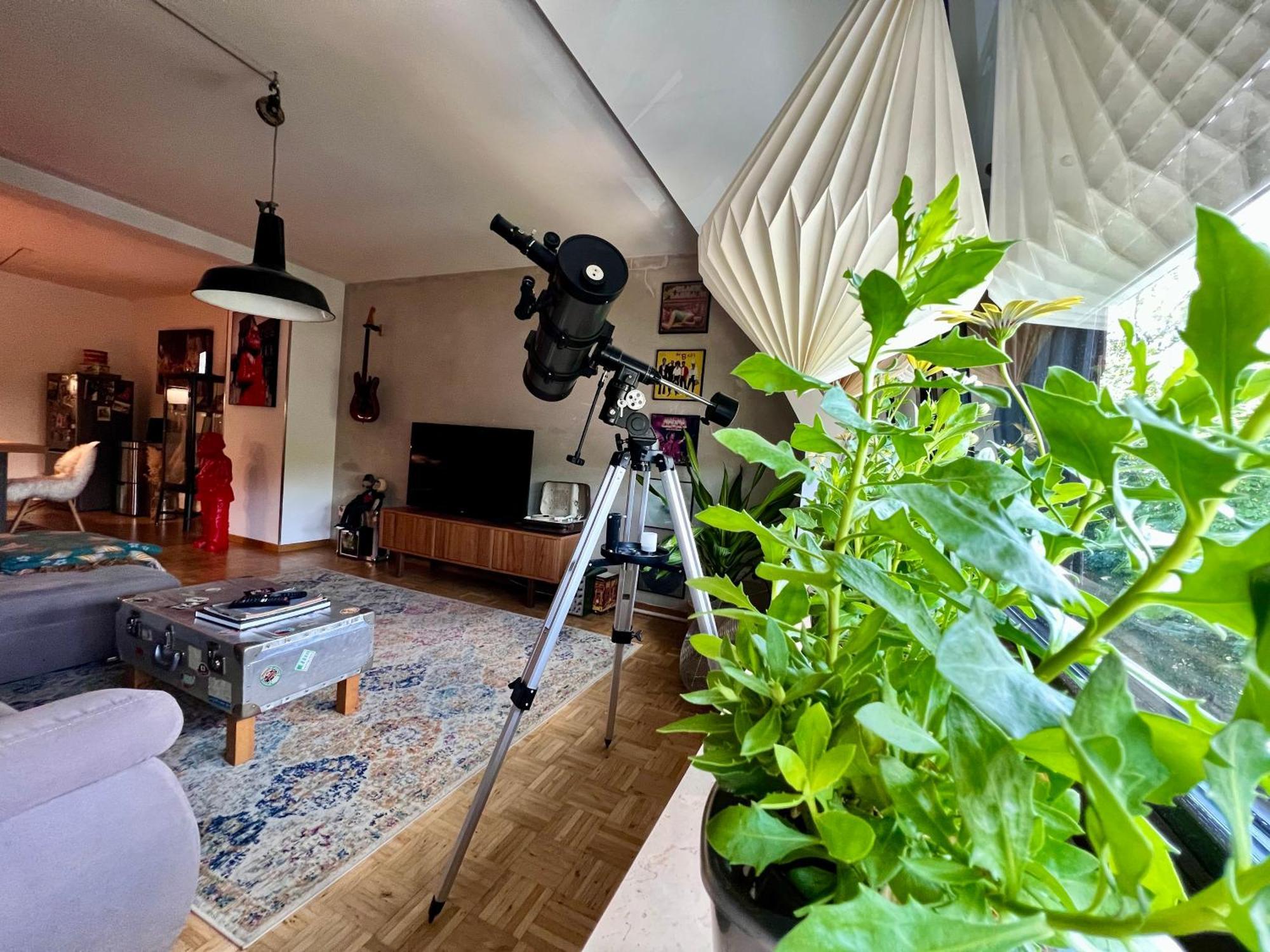 Domus Merian Xii Appartement *
